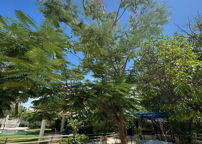 Casa El Chitian Hotel